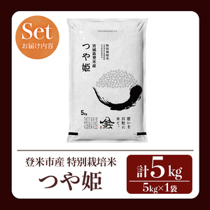 ≪令和7年産≫ 特別栽培米 つや姫 5kg (5kg×1袋)  登米市産 お米 おこめ 米 コメ 白米 ご飯 ごはん おにぎり お弁当 【登米ライスサービス株式会社】tm154