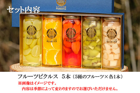 何が届くかお楽しみ！ フルーツ ピクルス 5種セット みかん ラズベリー いちご 苺 パイン パイナップル キウイ プルーン レモン 金柑 きんかんもも 桃 ブルーベリー グレープフルーツ 旬 酢漬け ギフト プレゼント 岩手県 盛岡 有限会社トゥレイス