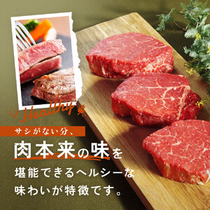 大田原ブランド認定牛 前田牧場の赤身牛 フィレ ステーキ 150g×3枚 | 牛肉 ブランド牛 ヒレ ステーキ