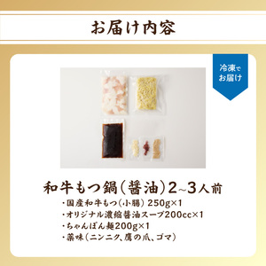 国産和牛もつ鍋（醤油味）2～3人前 ちゃんぽん麺 もつ鍋【B072】
