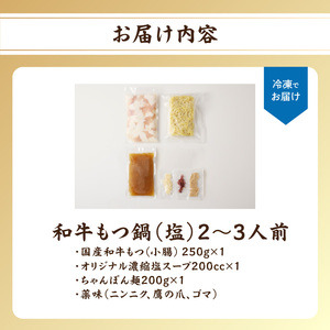 国産和牛もつ鍋（塩味）2～3人前 ／ ちゃんぽん麺 もつ鍋【B071】
