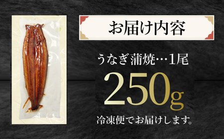 うなぎ 蒲焼 特大 1尾 約250g うなぎ