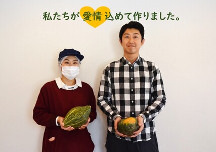 上田ファームのかぼちゃプリン　100g×6個