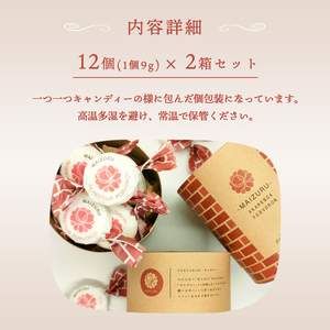 赤れんが ポルボロン 2箱（12個×2） ポルポローネ クッキー