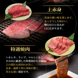 【最短7日以内発送】 神戸ビーフ 神戸牛 牝 極上焼肉 3種 食べ比べセット 計 900g 川岸畜産 焼肉 冷凍 肉 牛肉 すぐ届く お肉 和牛 食材 グルメ ブランド牛 日本産 国産 夕飯 晩御飯 夜ごはん