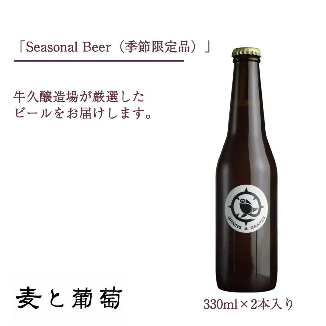 【 お中元 熨斗付 】 2年連続！《 ジャパン・グレートビア・アワーズ 受賞 》クラフトビール3種 計 6本セット