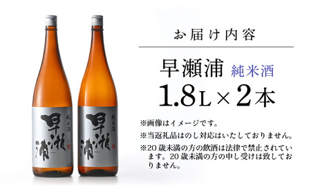 入手困難【早瀬浦】純米酒 1800ml × 2本(のし無し)【日本酒 地酒 福井 美浜 早瀬 フルーティ 男酒 硬水 ミネラル 希少 ご褒美 家飲み 敬老の日 プレゼント】[m16-b029]