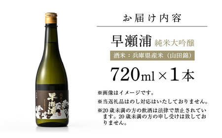 入手困難【早瀬浦】純米大吟醸 720ml × 1本【 日本酒 地酒 福井 美浜 早瀬 フルーティ 男酒 硬水 ミネラル 希少 ご褒美 家飲み 就職祝い 転職祝い ハレの日 敬老の日 プレゼント】 [m16-b028]