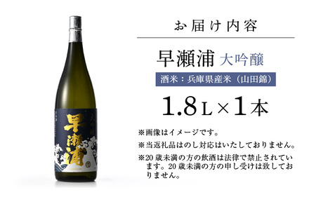 入手困難【早瀬浦】大吟醸 1800ml × 1本【日本酒 地酒 福井 美浜 早瀬 フルーティ 男酒 硬水 ミネラル 希少 ご褒美 家飲み 就職祝い 転職祝い ハレの日 敬老の日 プレゼント】[m16-d006]