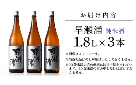 入手困難【早瀬浦】純米酒 1800ml × 3本【日本酒 地酒 福井 美浜 早瀬 フルーティ 男酒 硬水 ミネラル 希少 ご褒美 家飲み 敬老の日 プレゼント】[m16-d009]