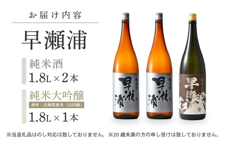 入手困難【早瀬浦】純米大吟醸 1800ml × 1本 ＆ 純米酒 1800ml × 2本 セット【飲み比べ 日本酒 地酒 福井 美浜 早瀬 フルーティ 男酒 硬水 ミネラル 希少 ご褒美 家飲み 敬老の日 プレゼント】[m16-h001]