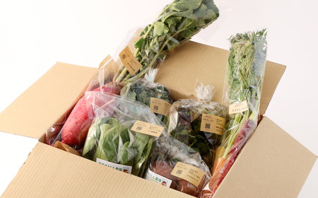 152-1057 【北海道・沖縄県・離島への配送不可】 豊後大野市の旬の お野菜 くだもの セット 8～10品 大分県産 フルーツ 旬 青果 