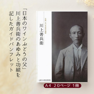 ワイン 日本ワインの歴史を味わう岩の原ワイン セット ( 赤白 2本 、冊子1冊) 深雪花 お酒 歴史 新潟 上越