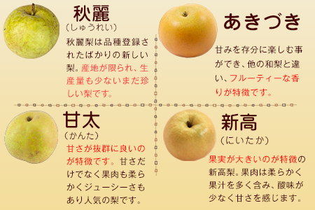 上田果樹園の元祖！玉東梨(旬の品種をお届けします)約3kg(4玉-10玉)  《7月下旬-9月下旬出荷頃》 熊本県玉名郡玉東町 ｜ブランド梨 人気梨 特産品梨 熊本県梨 玉東町梨 大人気返礼品