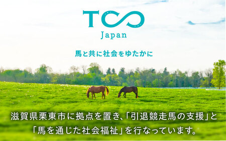 TCCホースシュー 世界に一つだけの蹄鉄 BIAV003 競馬 競馬グッズ