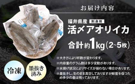 【先行予約】大好評！墨抜き済 活〆 若狭湾 天然 アオリイカの生冷凍 約1kg【2026年11月中旬以降順次発送予定】 刺身 イカ丼 イカフライ [m17-b012]
