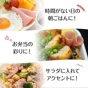 ハム 切り落とし 1.2kg 有限会社ハム工房TONGTONG《90日以内に出荷予定(土日祝除く)》熊本県 菊池市 小分け ハム ロースハム ボンレスハム おかず おつまみ
