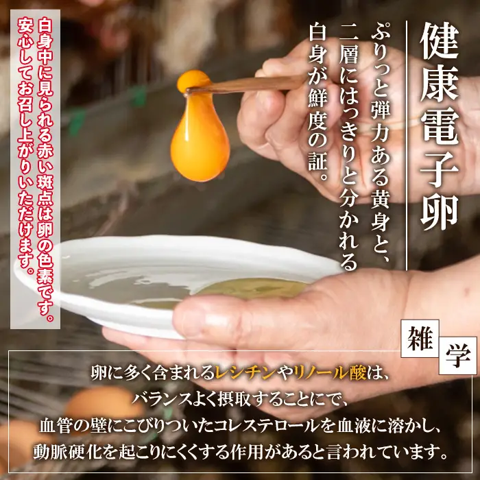 【6か月定期便】健康電子卵(計60個 計120個 全6回お届け♪ ）【00-095-05-TK】