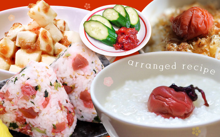 【へしこの町】福井 梅干し 300g × 1個 ＆ 美浜産 へしこ × 1本 Aセット【鯖 サバ さば 福井 美浜 若狭 名産 郷土料理 ぬか漬け 糠漬け 発酵 コシヒカリ つまみ 酒の肴 珍味 伝統 うめぼし 三方 自家製 敬老の日 ギフト プレゼント】 [m20-a008]