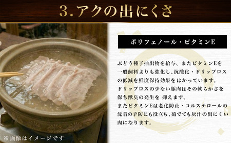 豚肉 もも スライス 2kg 豚肉