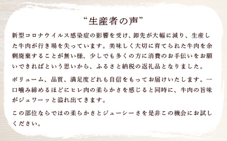 厳選高級部位牛ヒレ肉サイコロステーキ500g ヒレ肉