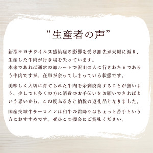 ステーキ サーロインステーキ 4枚入 600g