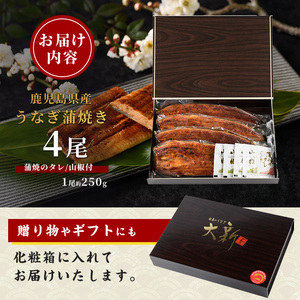 【丑の日に合わせてお届け！】【鹿児島県産】うなぎ蒲焼じっくり焼き約250g×4尾 木目化粧箱入り(大新/IB021-003u) うなぎ