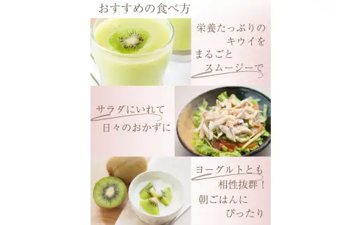 わけあり キウイ 2.5kg+250g（傷み補償分）扁平果 / 和歌山 家庭用 フルーツ 果物 くだもの ※2026年11月中旬より2027年4月下旬頃順次発送予定 ※北海道・沖縄・離島配送不可 【ikd703B】