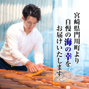 九州産あじ干物(計15枚) 魚  国産 冷凍【丸正水産】【AW-37】
