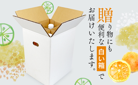 みかんジュース 本物の100％みかんジュース 1,000ml × 4本 木田柑橘農園  H017-185001