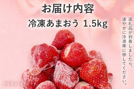 冷凍いちご（あまおう）約1.5kg ジャム シロップ スムージー 冷凍 イチゴ 苺 あまおう 果物 くだもの フルーツ 冷凍果実 冷凍フルーツ 先行予約 送料無料