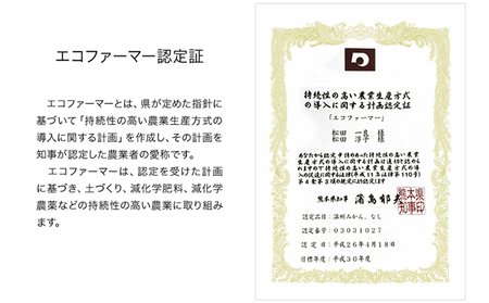 【先行予約】秋 旬 梨 期間限定 【日付指定不可】梨 『松田農園』の くまもと梨 たっぷり 約2kg 5-7玉前後《7月下旬-9月末頃出荷》  予約 受付中 熊本県玉名郡玉東町 松田農園 なし 果物 スイーツ フルーツ デザート スムージー ｜ブランド梨 人気 梨 特産品 梨 熊本県 梨 玉東町梨 大人気返礼品