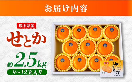 27年2月下発送 せとかみかん約2.5kg化粧箱入り せとか果物ギフトZBN002