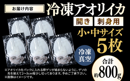 【先行予約】 新鮮で便利！旬の 天然 アオリイカ 刺身用 開き 5枚 約800g 【2026年10月下旬以降順次発送予定】  あおりいか アオリイカ 刺身  [m21-b014]