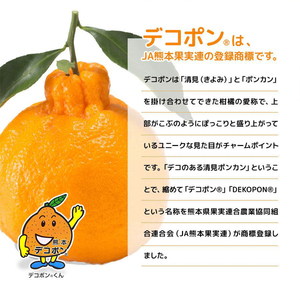 ジューシー 熊本デコポン®ストレート【195ml紙×12本入】 [h285]