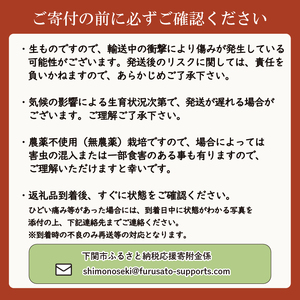 旬の野菜 詰め合わせセット 5品種 ( お楽しみ 産地直送 農家直送 季節 旬 おまかせ 春 夏 秋 冬 やさい サラダ 新鮮 玉ねぎ 人参 じゃがいも ピーマン 大根 なす キャベツ 等 豊浦町 川棚 下関 山口 ) FW003