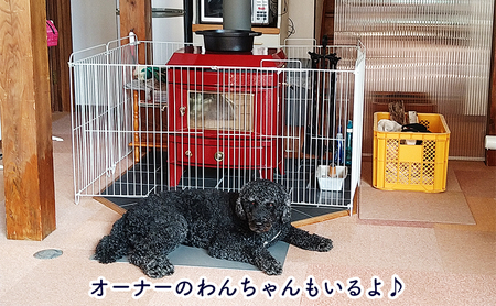 浬世人（リセット）【15,000円分】宿泊補助券 ペットと泊まれる 犬 犬好き ペット わんこ 河津 河津町 静岡 伊豆 宿泊券 自然 旅行 観光
