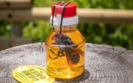 女王蜂の蜂蜜漬け（150g×2本） BKBU001