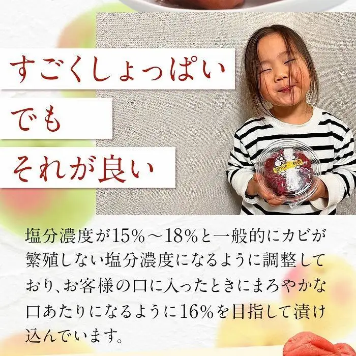＜訳あり＞宮城県角田産 【無添加】 まごころ 手作り 梅干し(800g) ｜ 梅干し