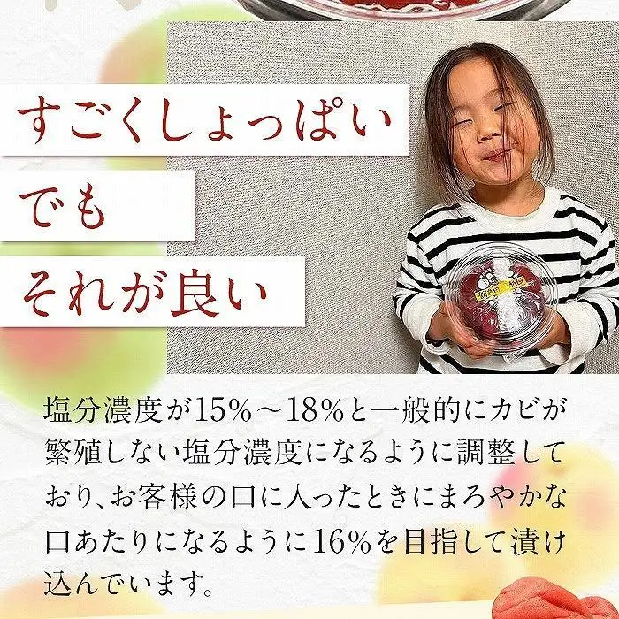 宮城県角田産 【無添加】 まごころ 手作り 梅干し (270g)・練り梅(160g)１セット｜ うめぼし パウチ
