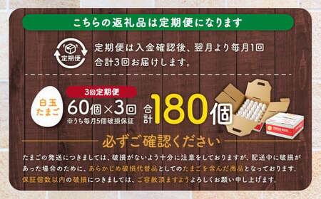 BS-517 【3ヶ月定期便】電子たまご(白玉) 合計180個(60個×3回)
