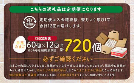 IS-703 【12ヶ月定期便】電子たまご(白玉) 合計720個(60個×12回)
