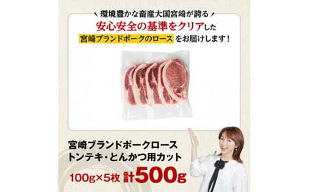 宮崎ブランドポークローストンテキ・とんかつ用カット500g 【 豚肉 豚 肉 とんてき とんかつ 】