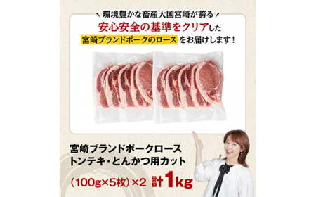 宮崎ブランドポークローストンテキ・とんかつ用カット1kg 豚肉