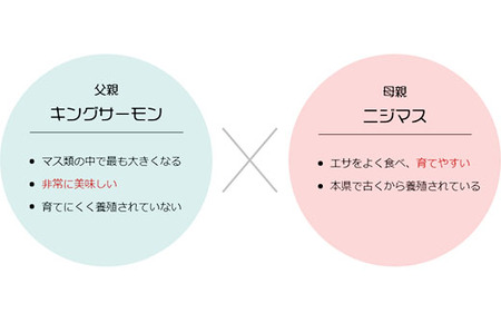 【山梨県オリジナル魚】「富士の介」丸ごと一本セット　忍沢養殖場 サーモン ブランド魚 刺身 甘塩仕立て あら 刺し身 ご当地  サーモン  ブランド魚 あら フィーレ ふじのすけ ご当地サーモン 山梨 やまなし 富士川町