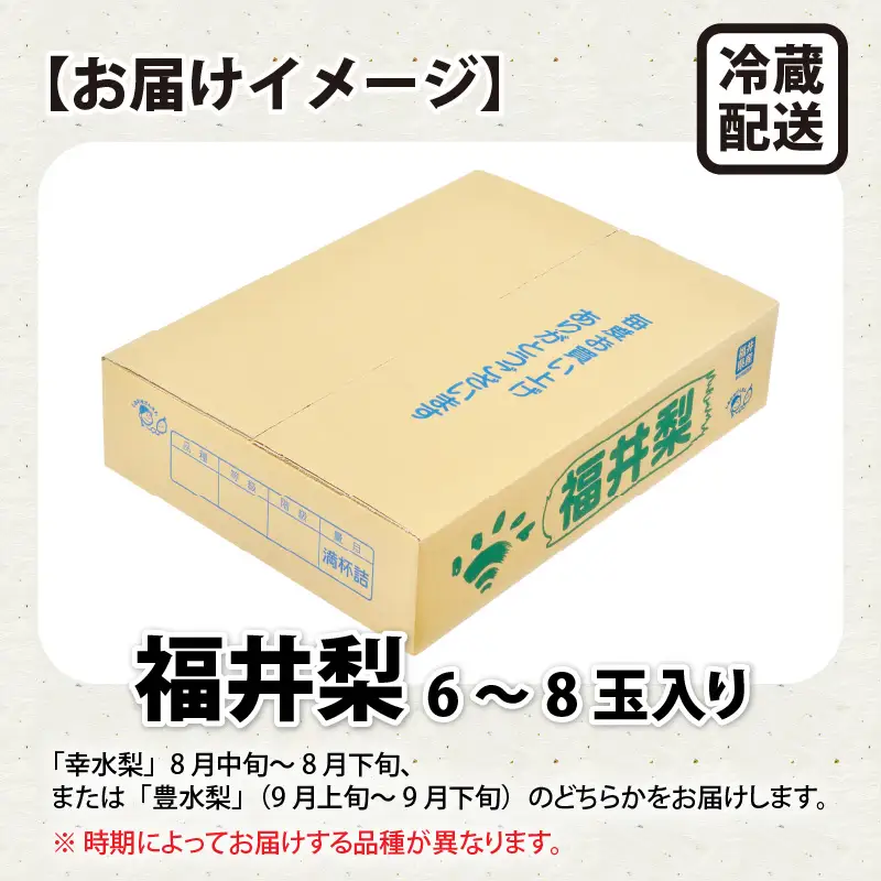 【先行予約】「福井梨」6～8玉 シャキっとした食感♪ あふれ出す果汁！【豊水梨】【2026年9月上旬～9月下旬発送予定】【梨 なし 和梨 先行予約 ナシ フルーツ 甘い みずみずしい 果実 果物 新鮮 お土産 贈り物 旬の果物】 [A-1007_09]