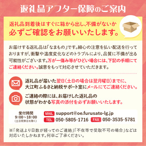 《先行受付》サンふじ約5kg 【2026年12月上旬頃～発送予定】【山形りんご・大江町産】 001-083