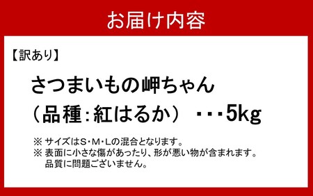【先行予約】【訳あり】有機栽培さつまいもの岬ちゃん5kg（品種：紅はるか）_2357R