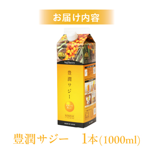 芳醇サジー1000ml×2(おまけサジー果皮こつぶ1袋) Amazon | サジー果皮のこつぶ フィネス サジー サプリメント