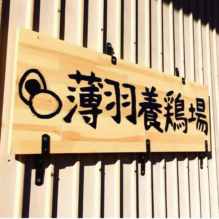 たまご 定期便 30個 年3回 黒麹育ちの赤たまご BC005